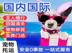 梅县机场空运国际宠物托运 【国